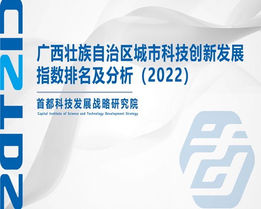 一区二区亚洲大奶【成果发布】广西壮族自治区城市科技创新发展指数排名及分析（2022）